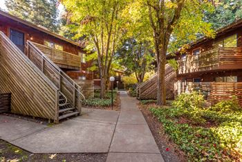 Mature landscaping